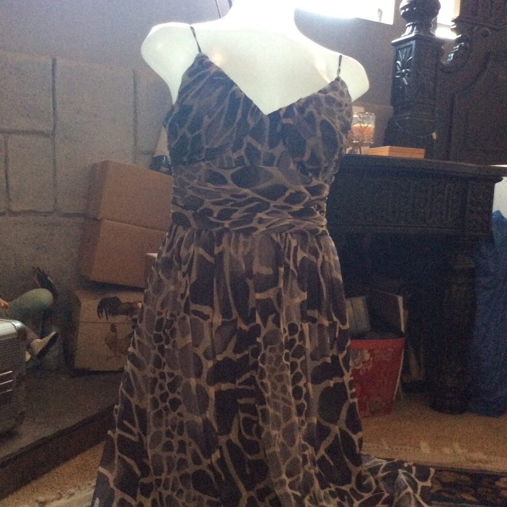 Max and Cleo Dress